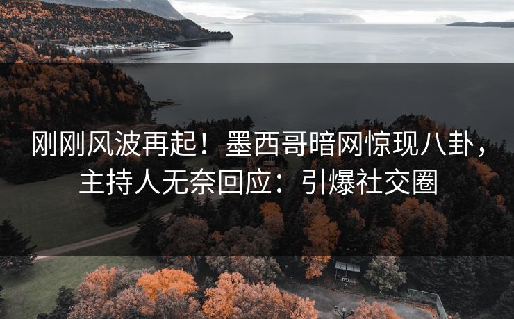 刚刚风波再起！墨西哥暗网惊现八卦，主持人无奈回应：引爆社交圈