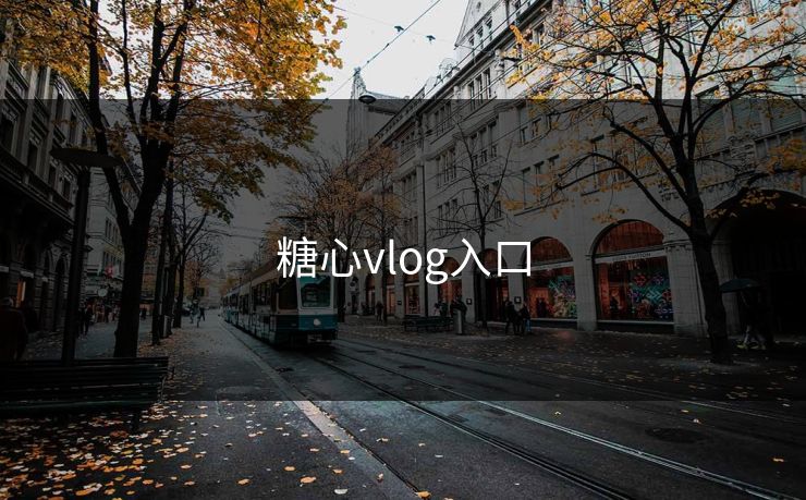 糖心vlog入口 糖心vlog入口