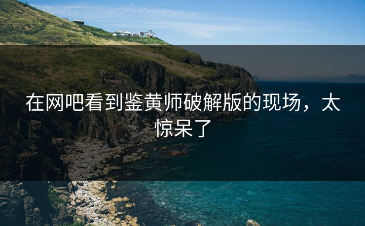 在网吧看到鉴黄师破解版的现场，太惊呆了