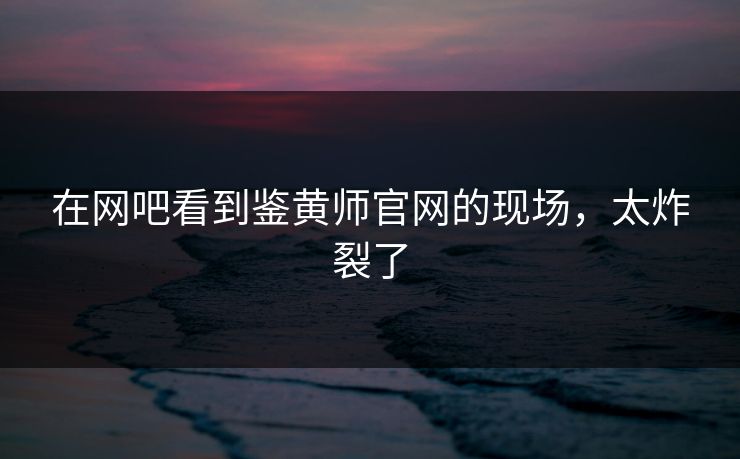 在网吧看到鉴黄师官网的现场，太炸裂了