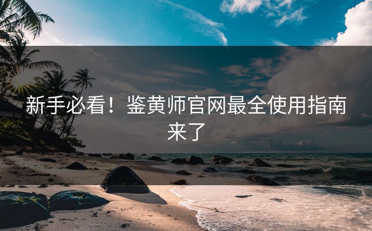 新手必看！鉴黄师官网最全使用指南来了