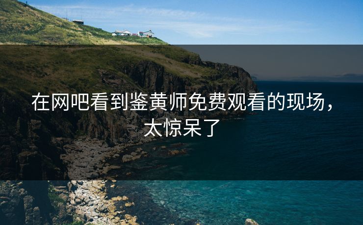 在网吧看到鉴黄师免费观看的现场，太惊呆了
