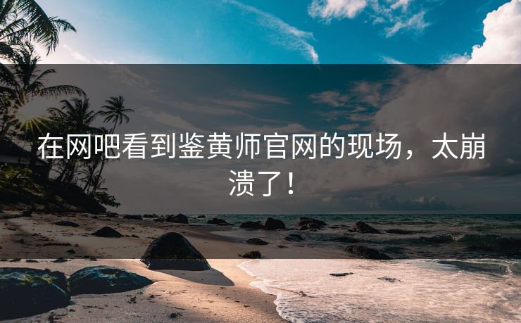 在网吧看到鉴黄师官网的现场，太崩溃了！