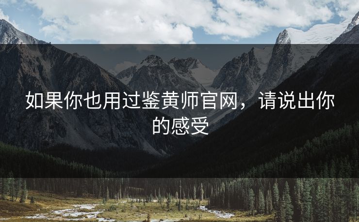 如果你也用过鉴黄师官网，请说出你的感受