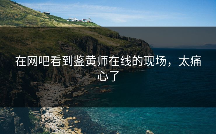 在网吧看到鉴黄师在线的现场，太痛心了