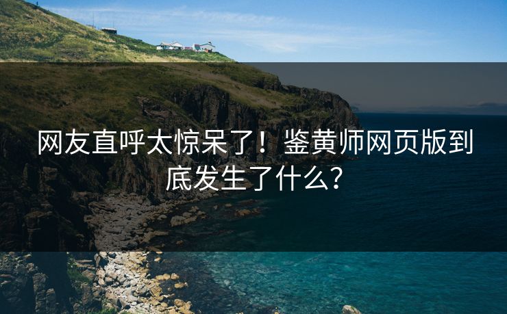网友直呼太惊呆了！鉴黄师网页版到底发生了什么？