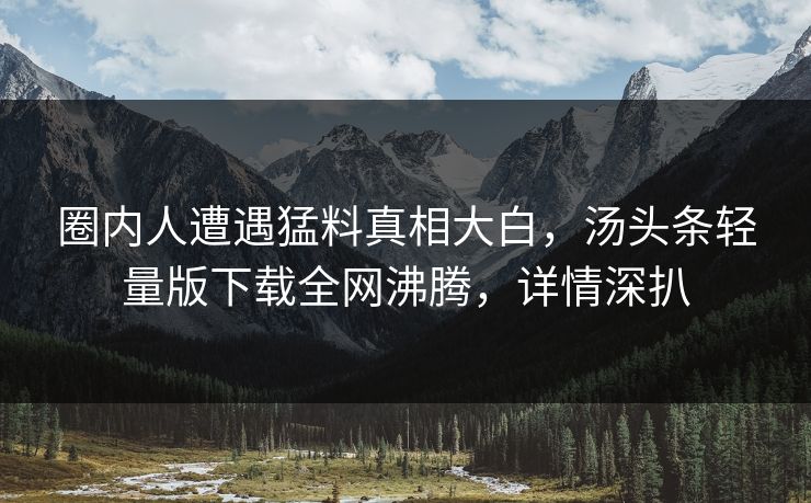 圈内人遭遇猛料真相大白，汤头条轻量版下载全网沸腾，详情深扒