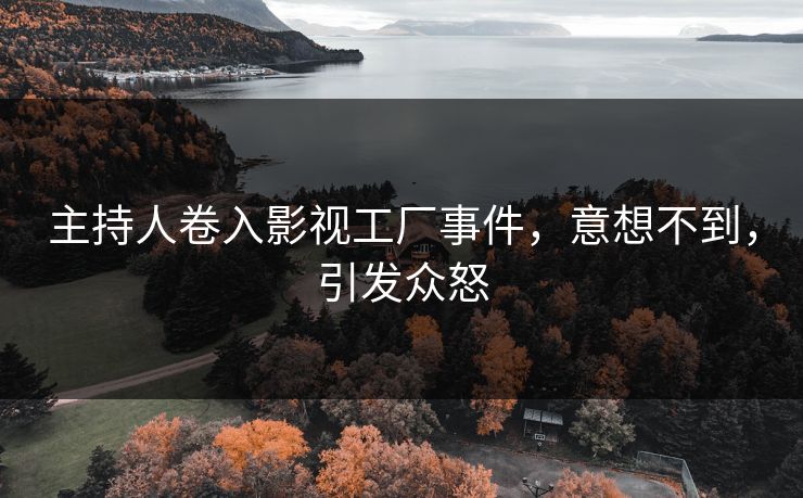 主持人卷入影视工厂事件，意想不到，引发众怒