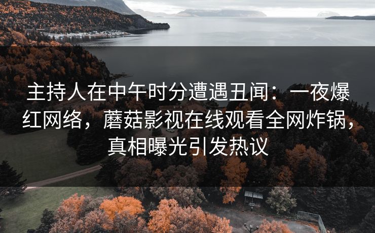 主持人在中午时分遭遇丑闻：一夜爆红网络，蘑菇影视在线观看全网炸锅，真相曝光引发热议