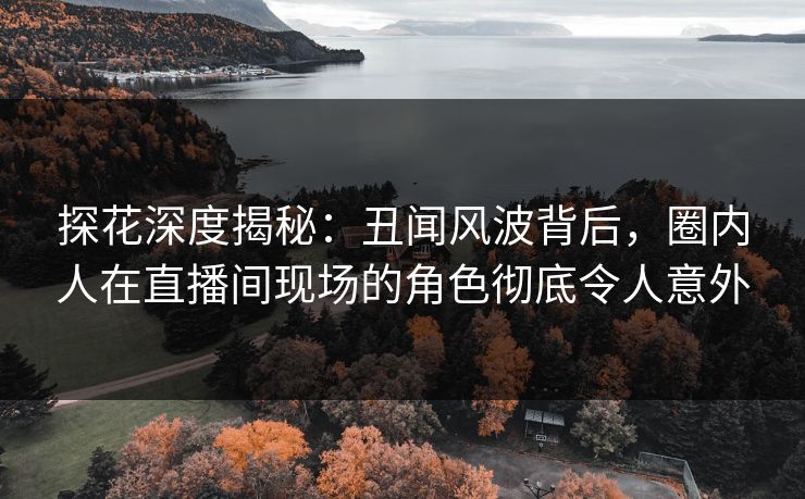 探花深度揭秘：丑闻风波背后，圈内人在直播间现场的角色彻底令人意外